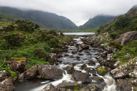 Stream flowing through a misty landscape