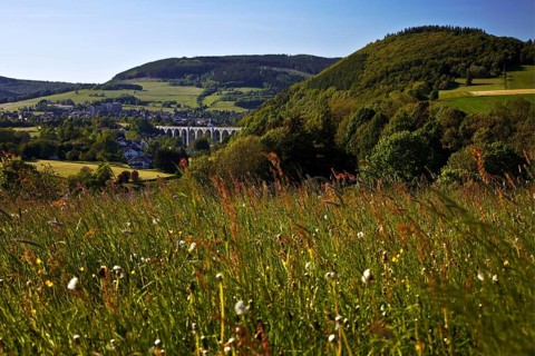 Spring landscape with a viaduct