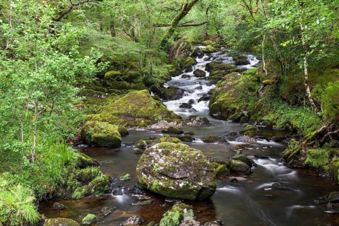 Stream