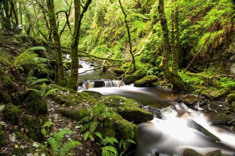 The end of the Torc waterfall