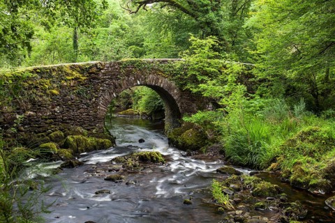 Stone bridge over a stream