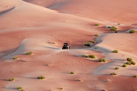 Desert Jeep