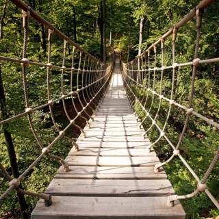 Suspension bridge along the Waldskulpturenweg forest sculpture trail in Wittgenstein-Sauerland