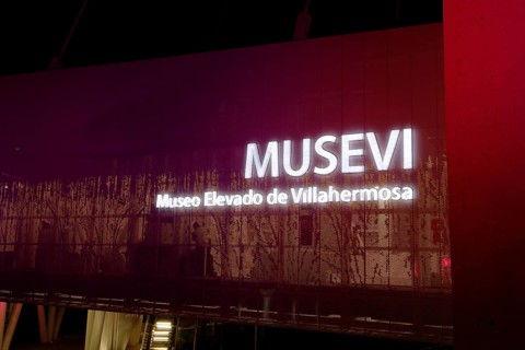 Musevi
