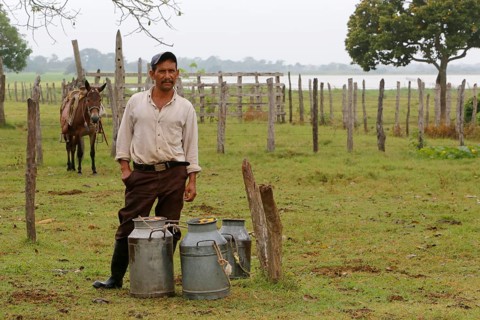 Farmer with milk churns