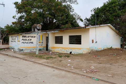 Community library