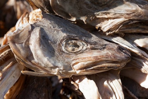 Dried cod head