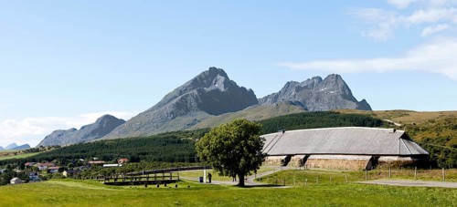 Viking Museum