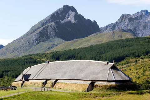 Viking Museum
