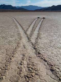 Traces generated by the mysterious wandering rocks in the so-called Racetrack