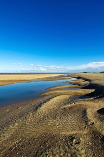 Landscape with dunes in the Deltapark region