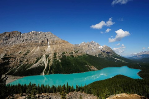 Peyto Lake in the Rocky Mountains