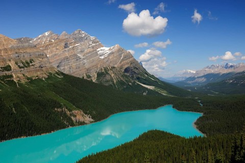 Peyto Lake in the Rocky Mountains