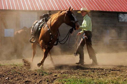 Bucking horse being held on the reins by a cowgirl in a paddock on the prairie