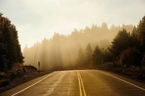 Road through the Canadian autumnal forest early in the morning