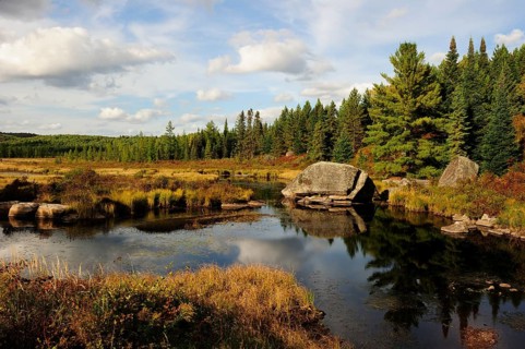 Typical moorlands of the Canadian Shield or Laurentian Plateau with ponds and coniferous forests