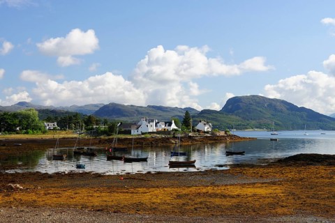 Fishing harbour at low tide