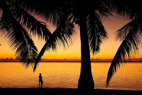 Sunset at Le Morne Beach with palm trees