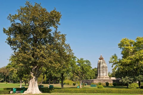 Hindu temple amidsts trees
