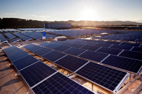 Solar energy plant with backlighting