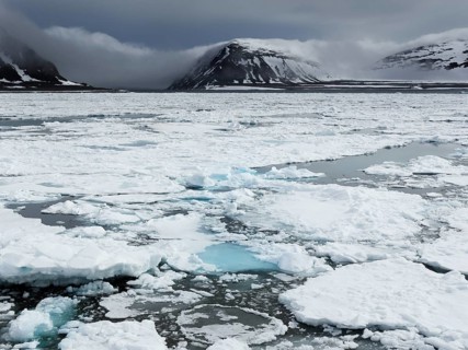 Fjord with pack ice