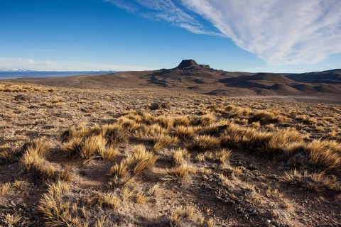 Steppe landscape near the cave Cueva de las Manos