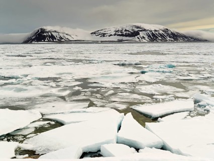 Fjord with pack ice