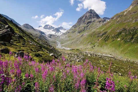 Jamtal Valley
