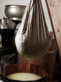 Lifting and pressing curd with a cheese cloth