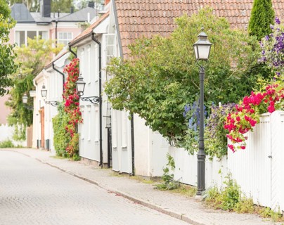 Street with old residential houses and flowers