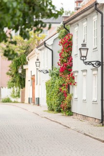 Street with old residential houses and flowers
