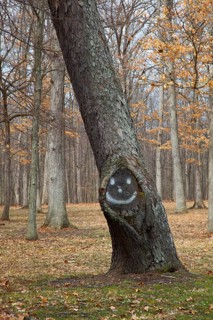 A tree with a smiley face