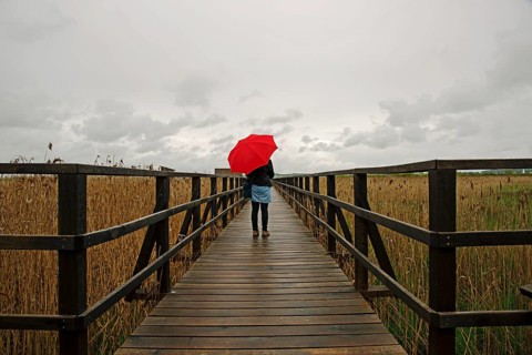 Woman holding a red umbrella while standing on a wooden pier