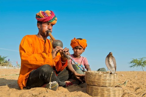 Snake charmer
