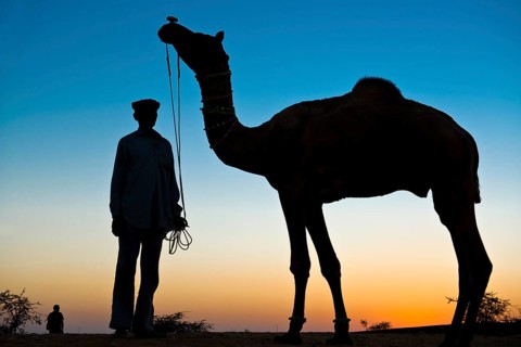 Silhouette of a man holding the reins of his camel