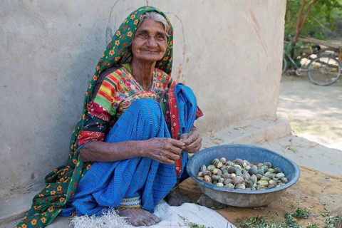 A friendly elderly woman in traditional dress sitting on the ground sorting small melons