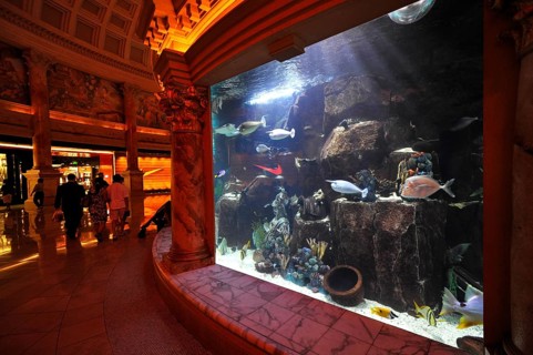 Aquarium