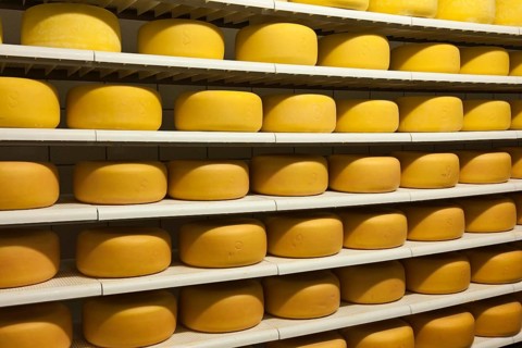 Cheese wheels