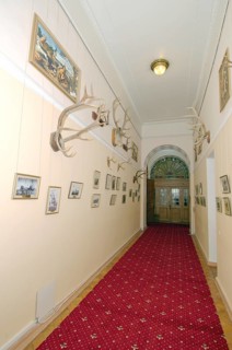 Room of trophies