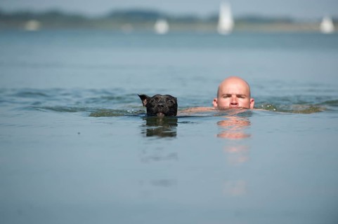 A man and a dog swimming in a lake