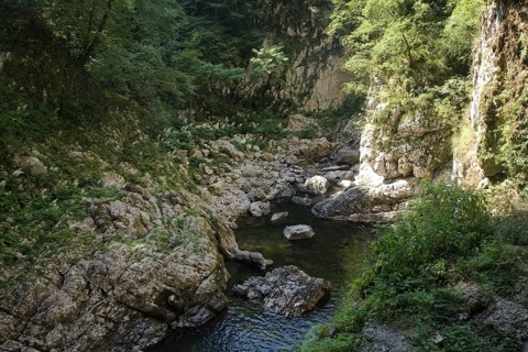 Canyon