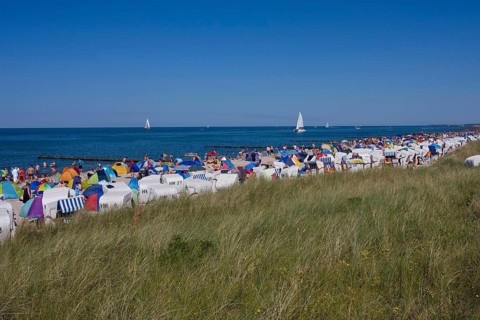 Coast with roofed wicker beach chairs on a beach