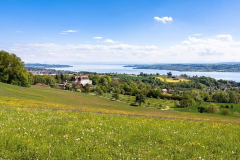 Schloss Spetzgart Castle above Ueberlingen with Lake Constance and the Alps