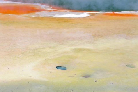 Artist's Palette
