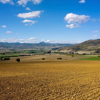 Plain of Limagne
