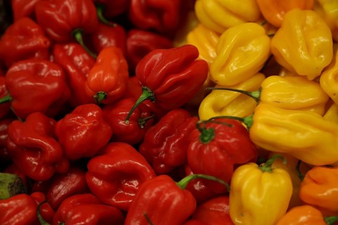 Red and yellow habanero chili peppers at a stand at Fruit Logistica