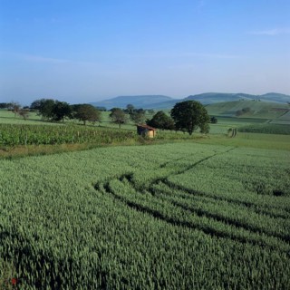 Agricultural landscape