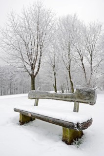 Bench in the snow