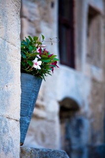 Pot flowers outside a house