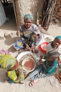 Children peeling peanuts